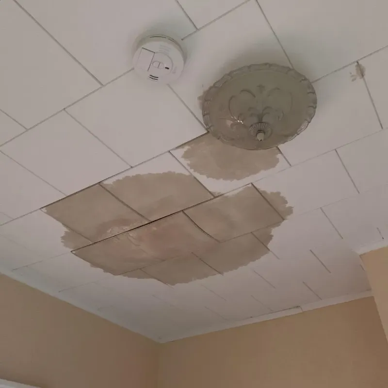 Ceiling Water Damage Repair in Tomah, WI