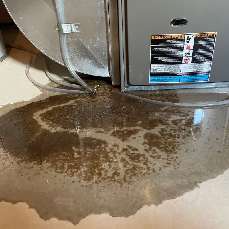 Pipe Burst and Leak Restoration in Tomah, WI
