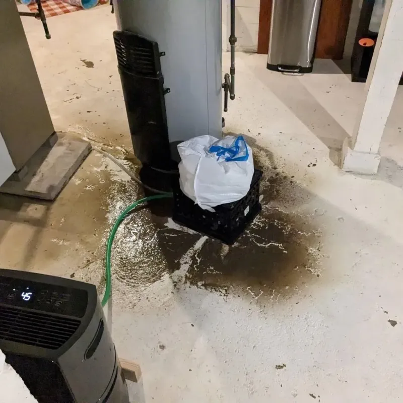 Sewage Backup Cleanup Service in Tomah, WI